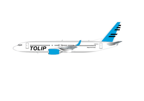 現役パイロットにより結成! 5人組“TOLIP”が〈残響レコード〉より作品発表