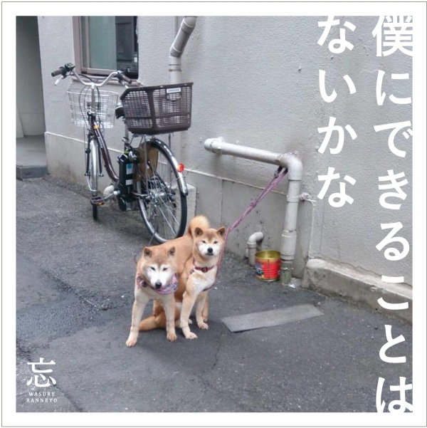 ”夢を、自分を、あの人を諦めきれないあなたに贈りたい” 忘れらんねえよ、約2年ぶり新アルバム『僕にできることはないかな』発売決定