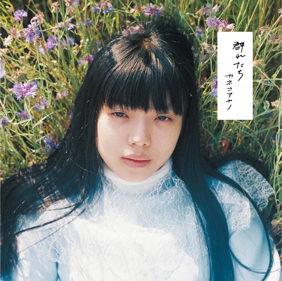 カネコアヤノ、新アルバム『群れたち』をアナログのみ500枚限定でリリース