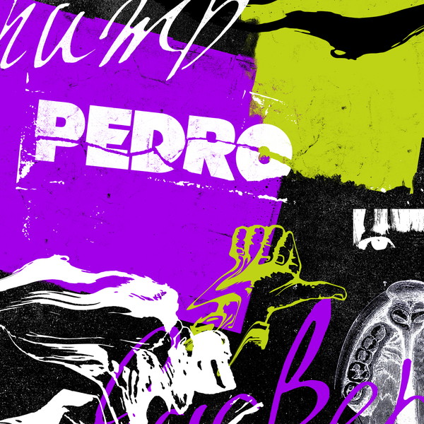 PEDRO、アルバム初回生産限定盤収録「super zoozoosea」トレイラー映像公開