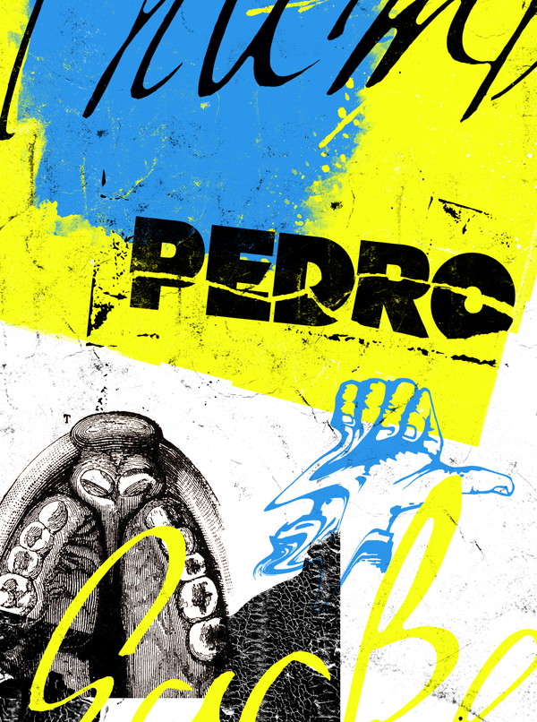 PEDRO、アルバム初回生産限定盤収録「super zoozoosea」トレイラー映像公開